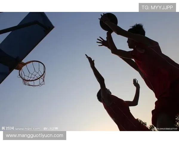 欧帝体育最新产品发布：为运动爱好者带来高品质运动装备与专业服务