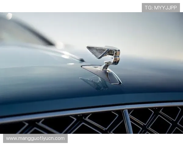 飞驰旗舰厅：探索创新科技带来的娱乐新体验